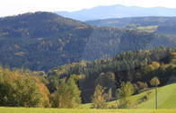 Natur Bayerischer Wald (Genießen Sie einen traumhaften Ausblick in die weitläufige Natur des Bayerischen Waldes.)